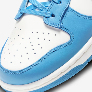 Tenis Nike Dunk Low "Coast"